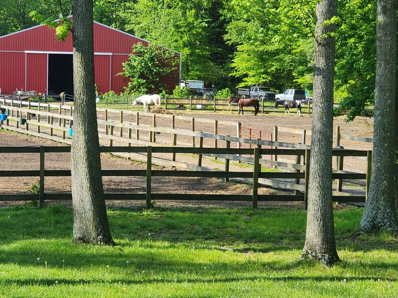 Handy Acres Tree Farm