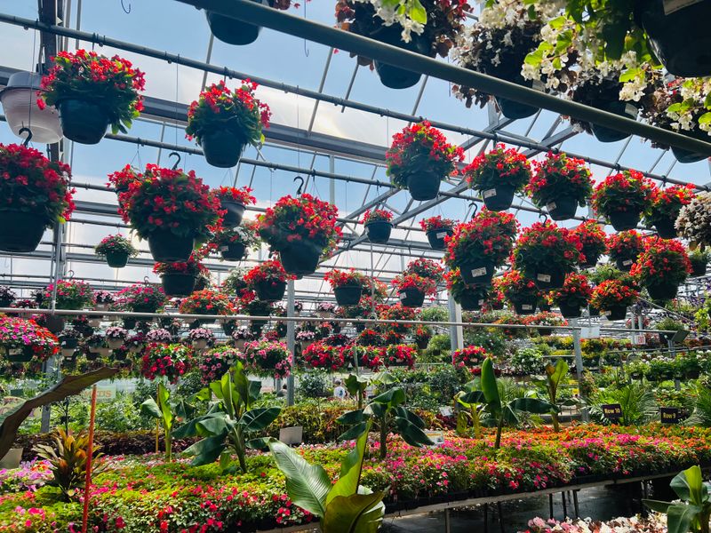 Strader's Garden Centers — Columbus Area