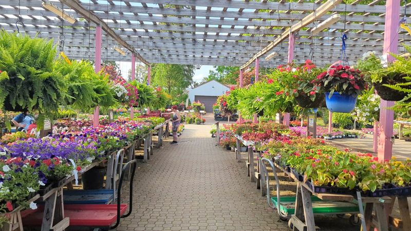 Oakland Nurseries - Columbus North