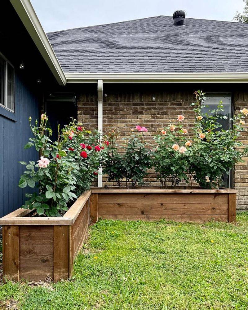 Raised Beds Reduce Maintenance Headaches