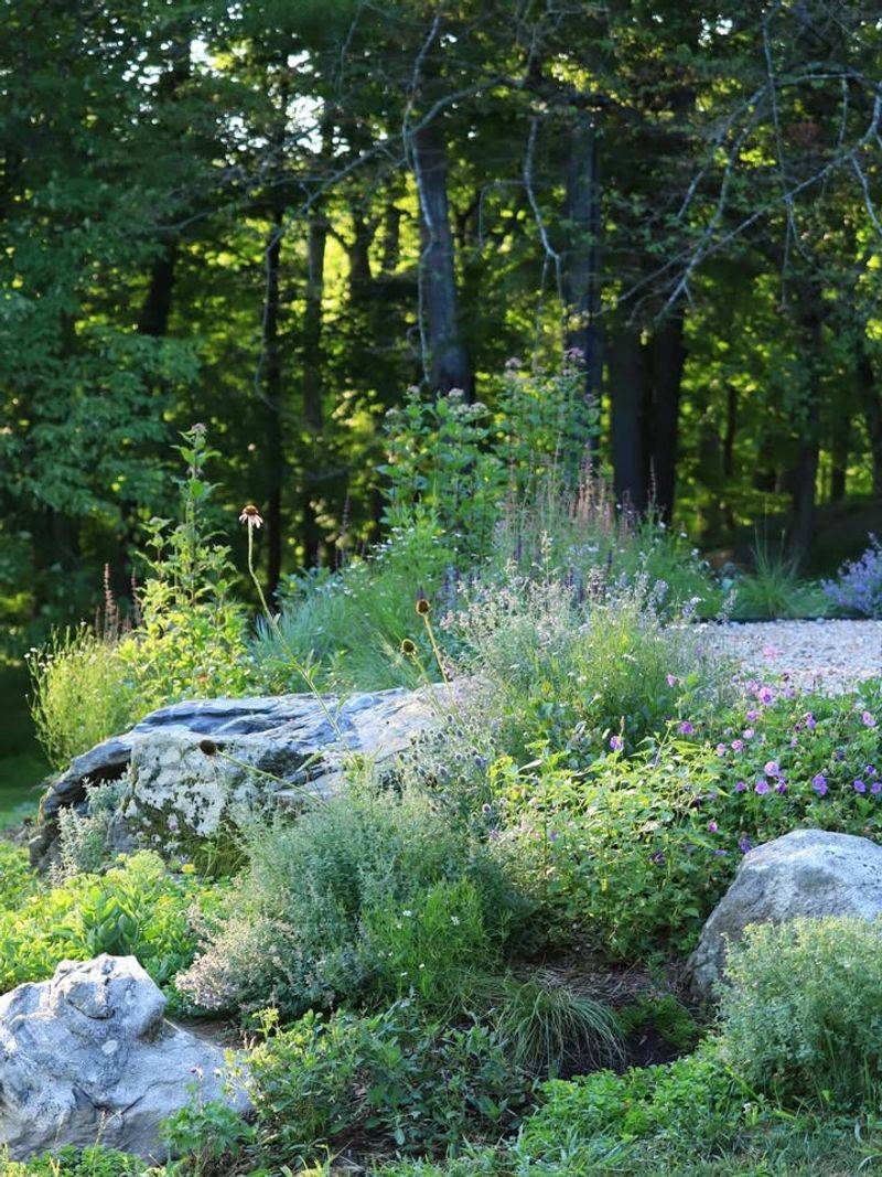 Rock And Native Plant Combination Gardens