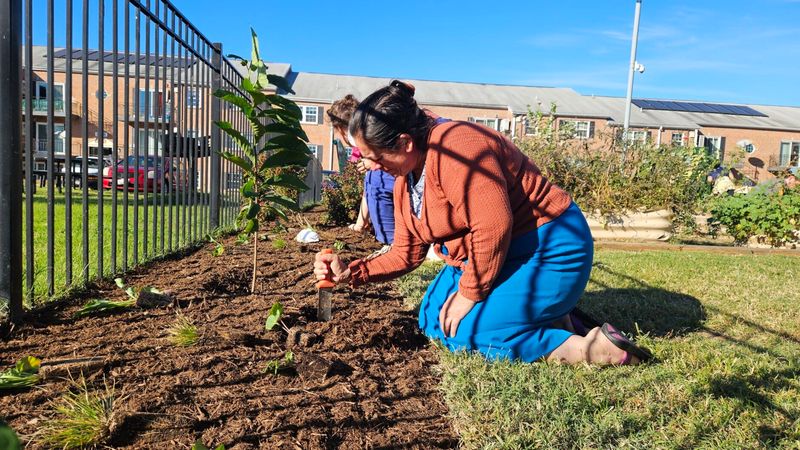 Community Pride Flourishes