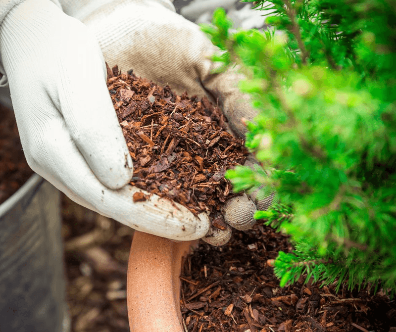 Apply Mulch To Container Surfaces