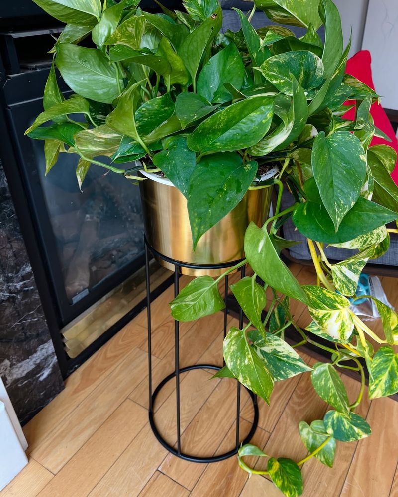 Elevate Containers Off Cold Ground Surfaces