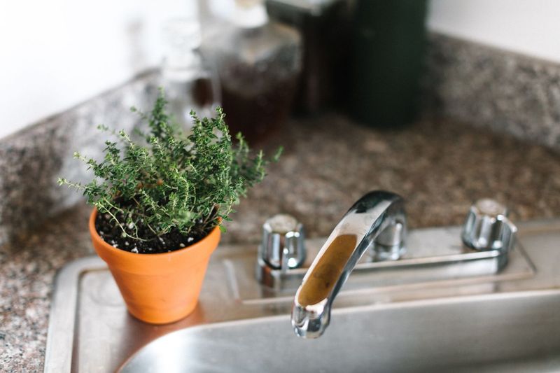 Kitchen Sink Or Dishwasher Steam