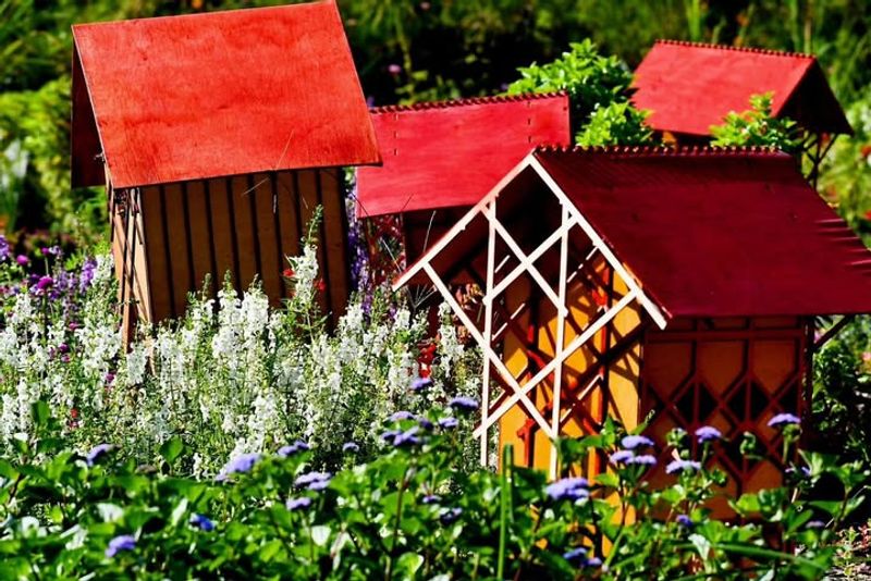 Designing Pollinator-Friendly Habitats