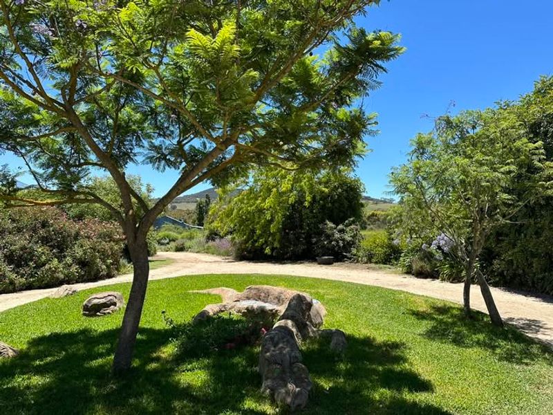 Shade Coverage And Summer Cooling Benefits