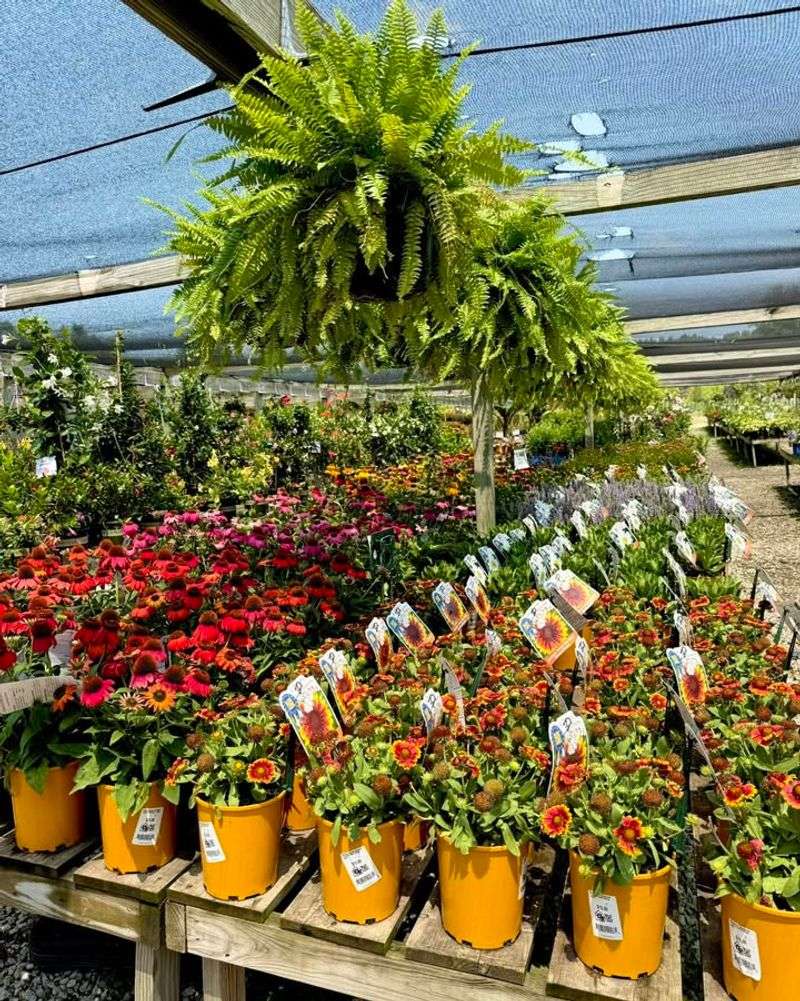 Flexible Pickup Scheduling Options