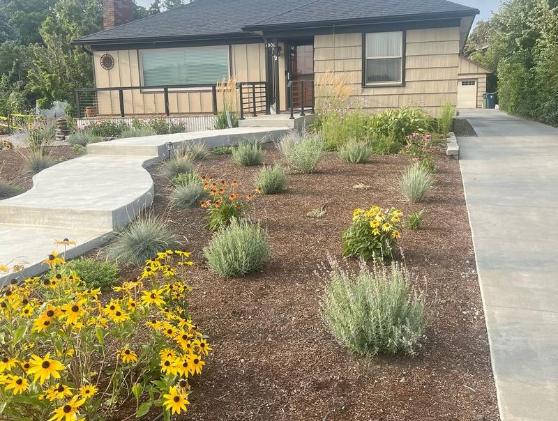 The Rise Of Drought-Tolerant Landscaping In Texas Neighborhoods