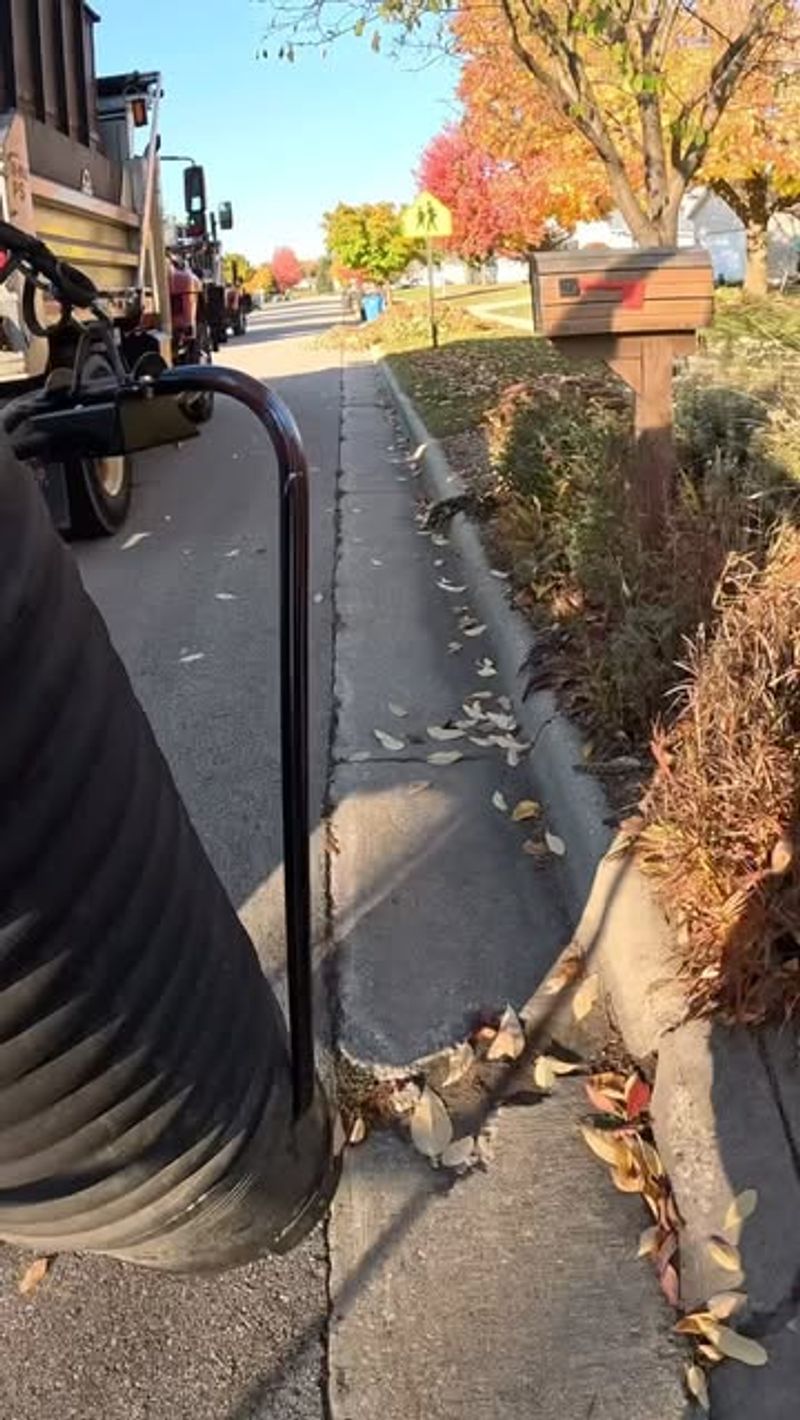 Local Ordinances Rarely Shift Leaf Responsibility