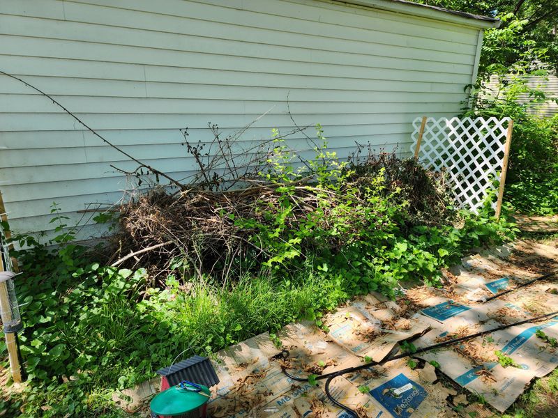 Anonymous Complaints Are Usually Allowed