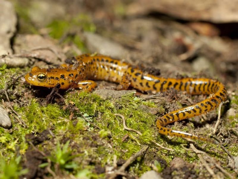 Chemical-Free Environments Support Populations