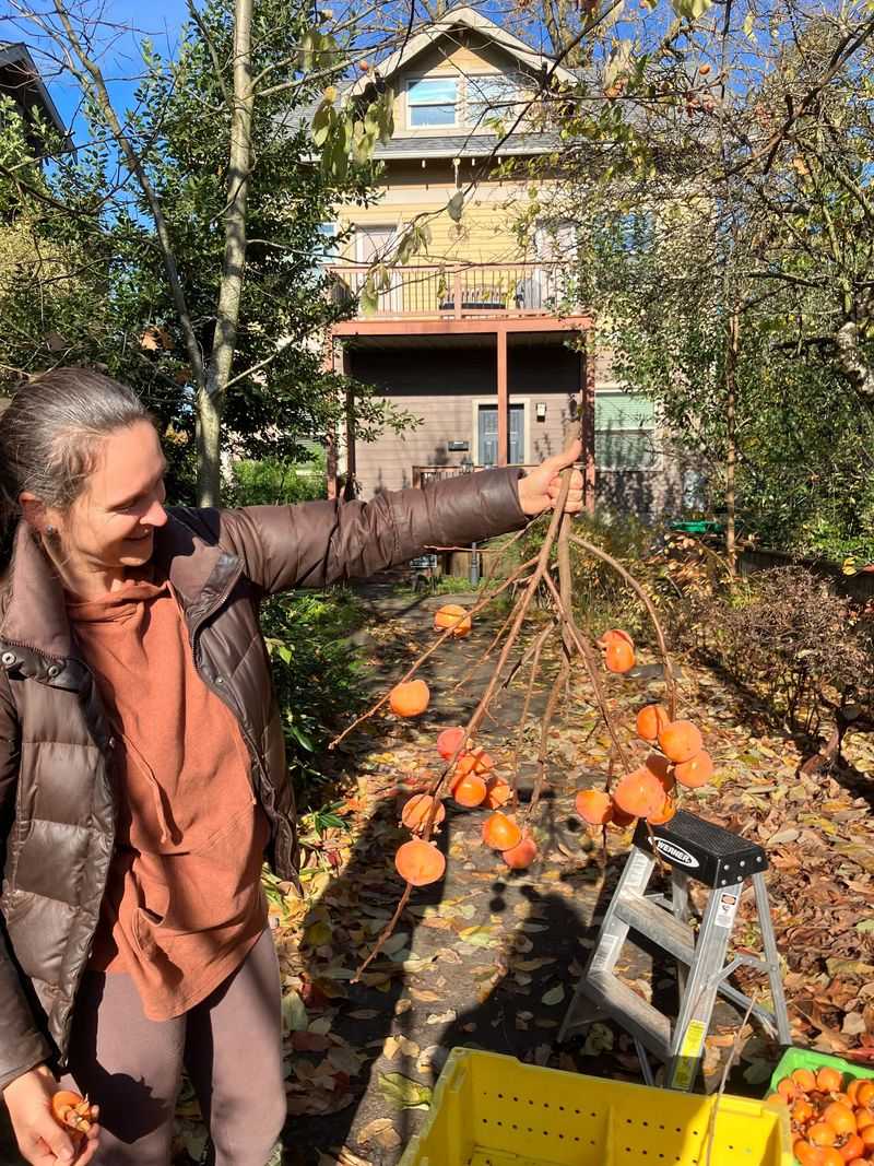 Portland Fruit Tree Project Community Orchard