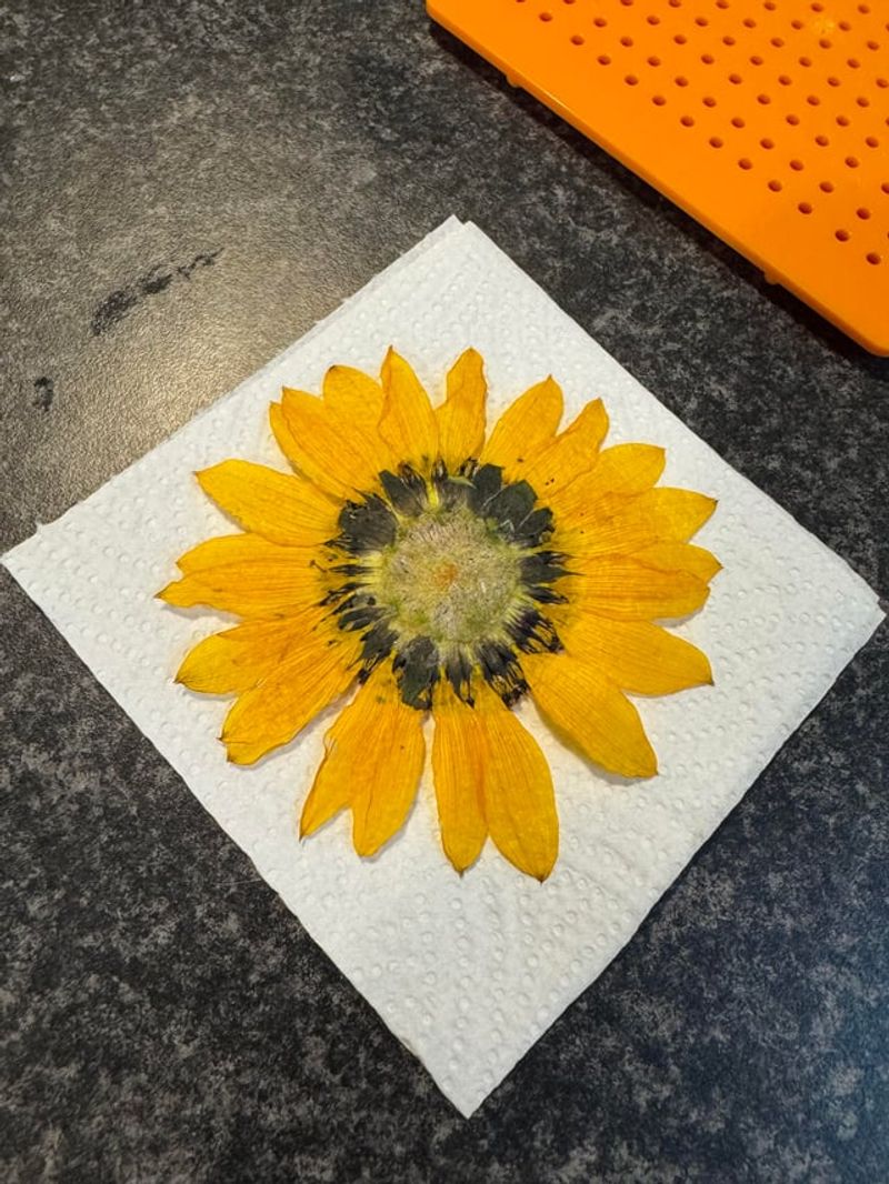 Microwave Press Method