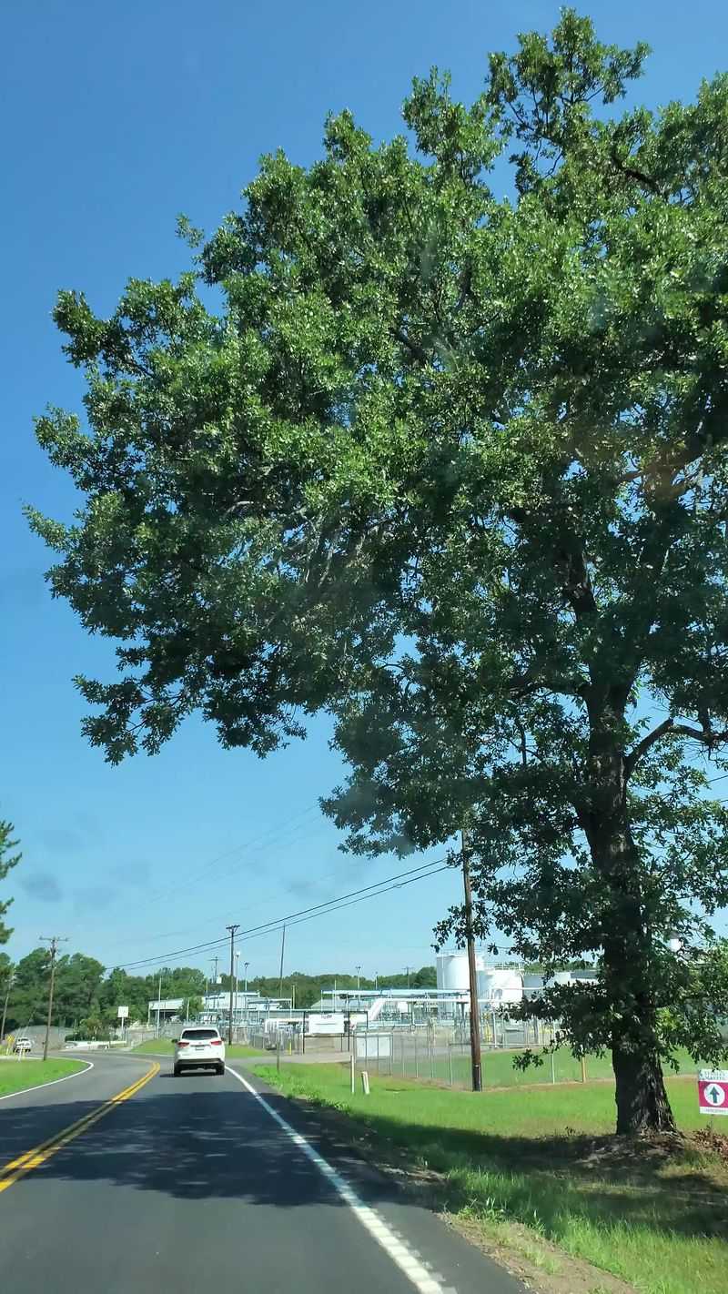 Augusta Richmond County Industrial Growth