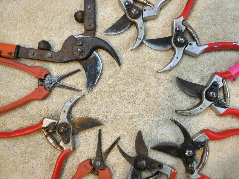 Sharpening Frequency Impacts Cut Quality And Plant Health