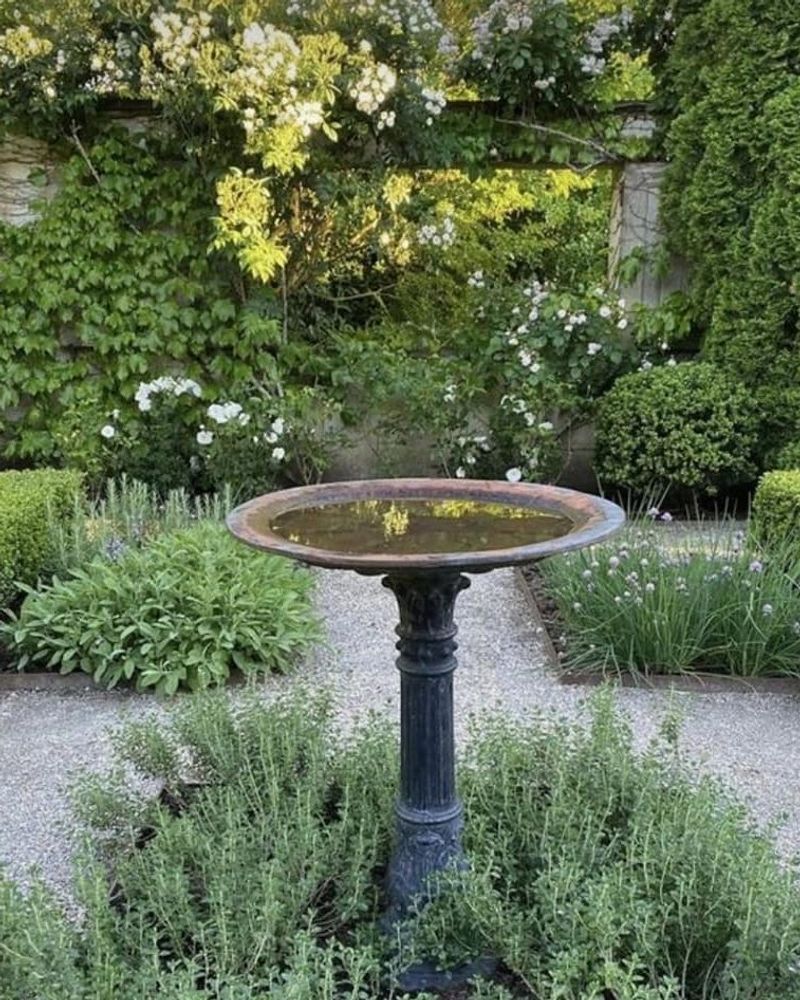 Add A Bird Feeder Or Bird Bath