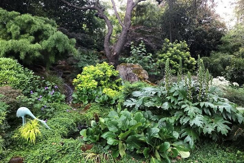 Natural Woodland-Style Edges