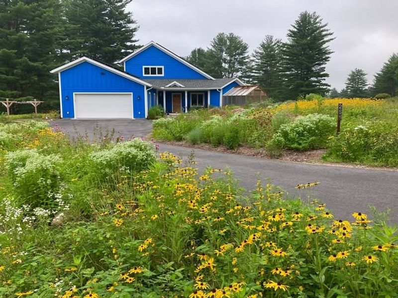 Wildflower Meadow Areas