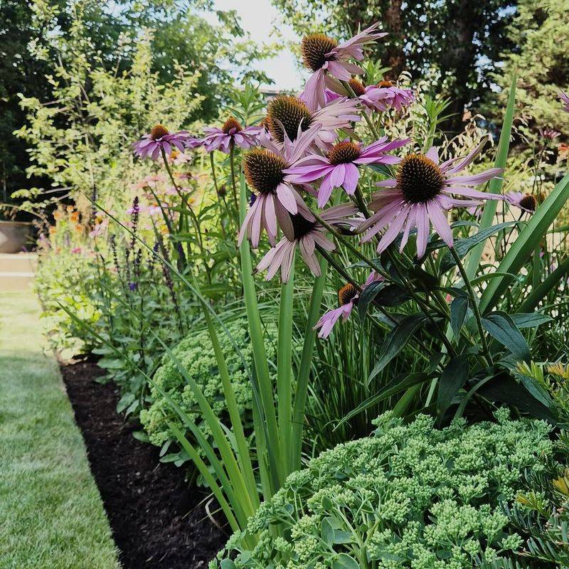 Add Structure And Height To Flower Beds