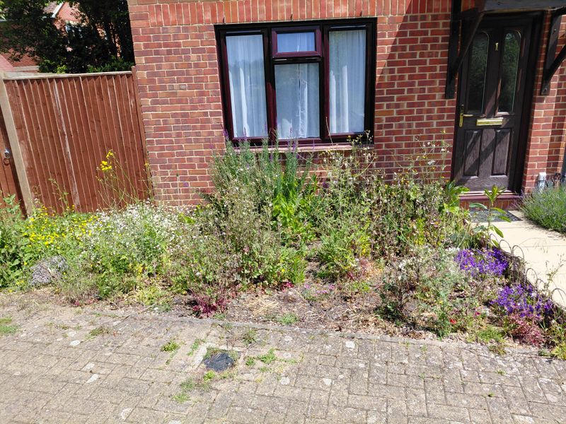 HOA Rules Provide Additional Enforcement Options