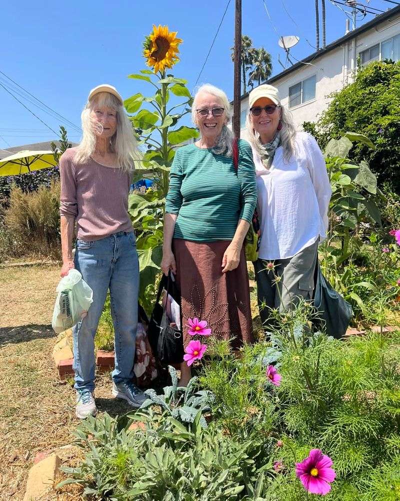 Shared Responsibility In Multi-Unit Properties