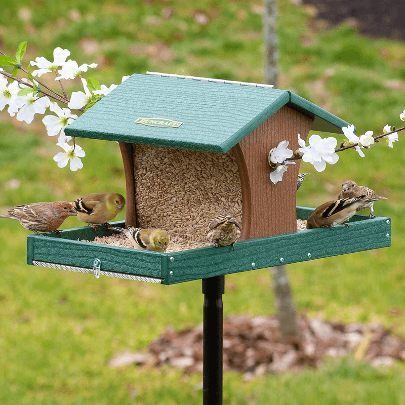 Platform Feeders Accommodate Ground-Feeding Birds