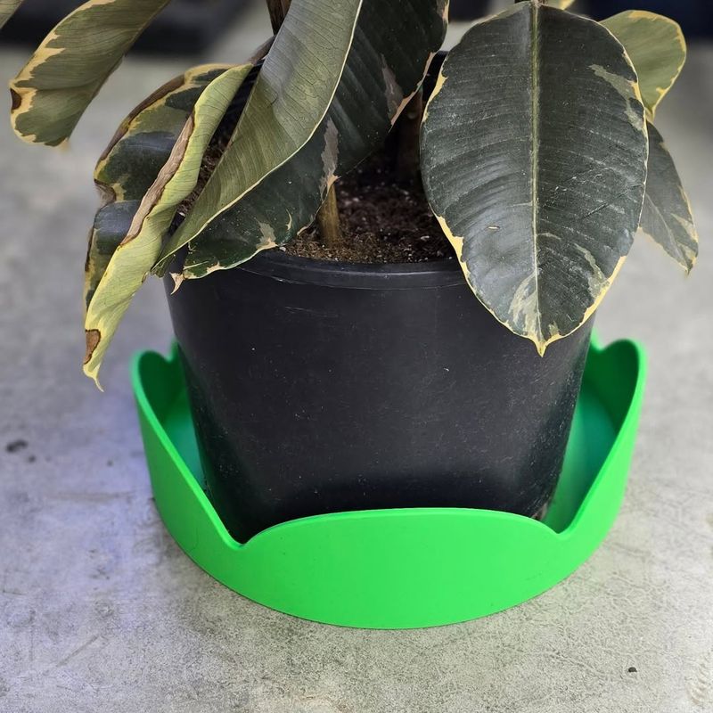 Trapped Moisture From Plastic Saucers