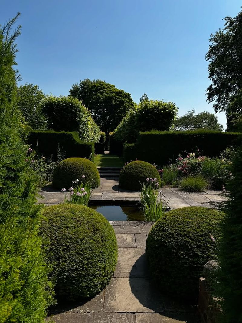 Boxwood Hedges Provide Year-Round Structure And Formal Beauty