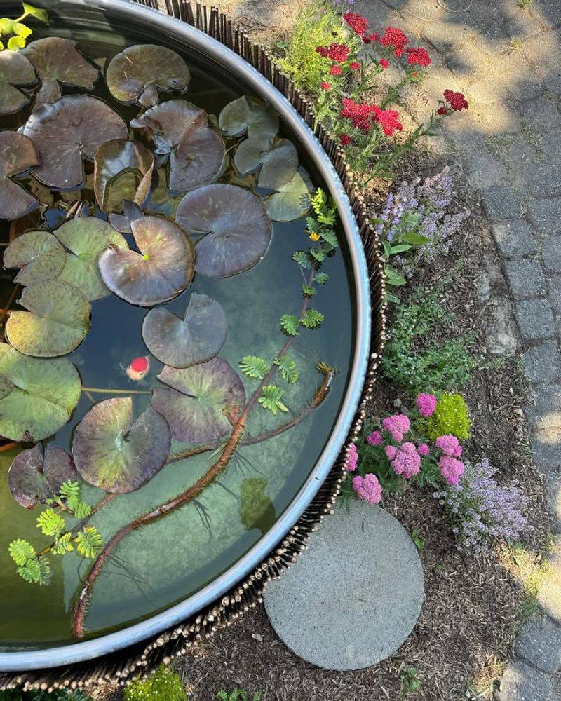 Water Features and Ponds