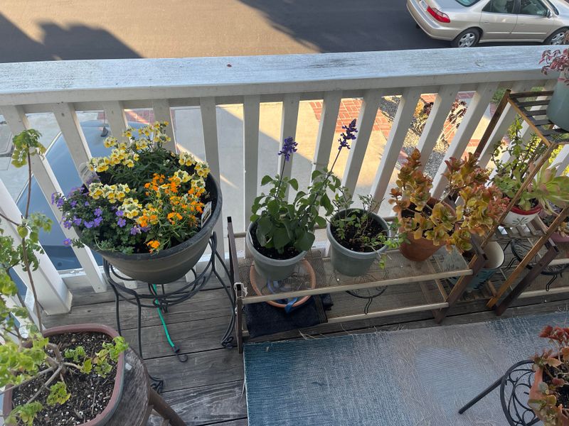 Community Support Groups Share Tips