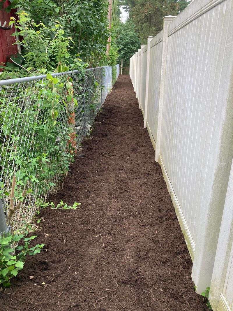 Boundary Disputes Require Professional Survey Work