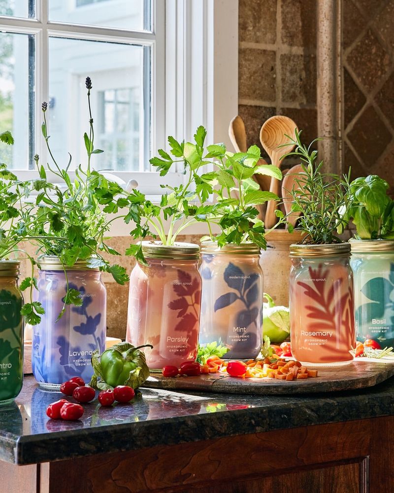 The Jar Garden Habit