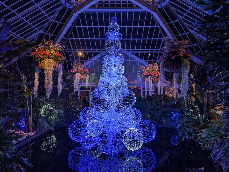 Phipps Conservatory Winter Flower Show