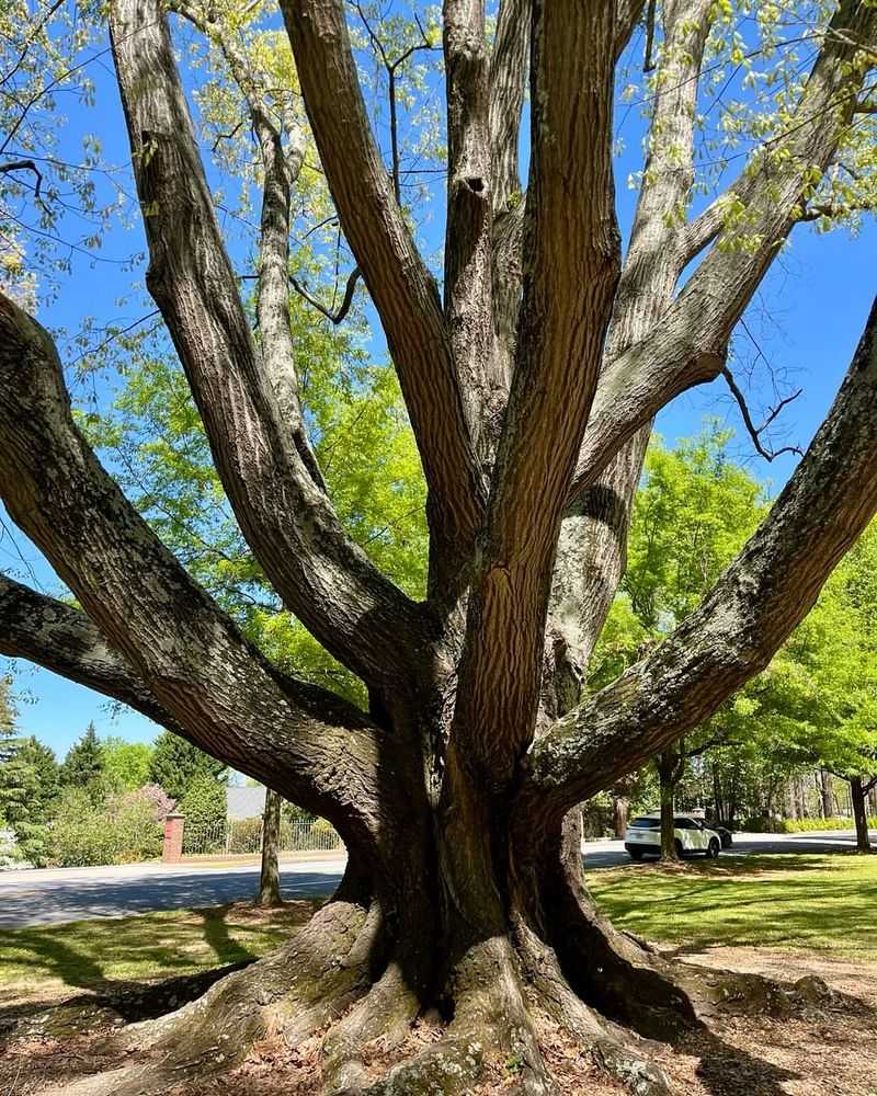 Communication With Your Neighbor Prevents Disputes