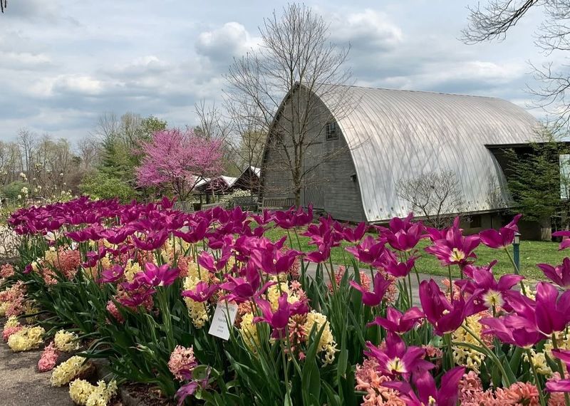 Award-Winning Plant Collections Recognized Nationwide