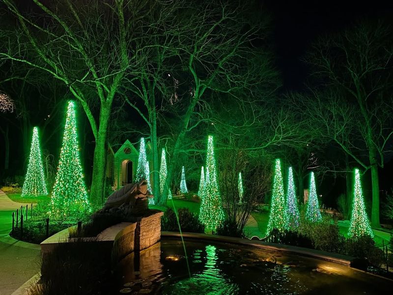 Winter Garden Beauty Offers Unique Seasonal Views