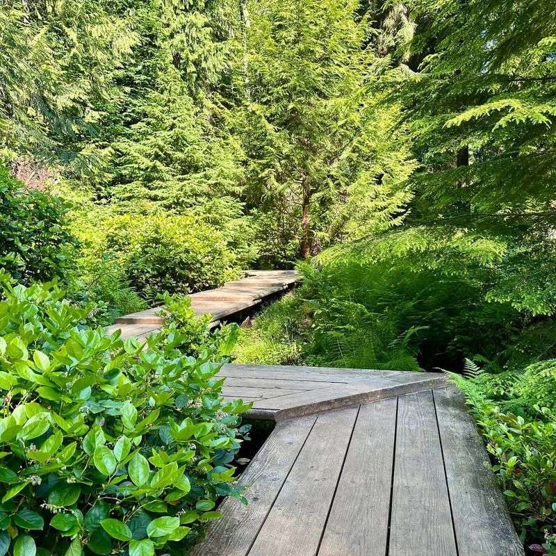 Limited Daily Visitors Ensure Peaceful Experiences