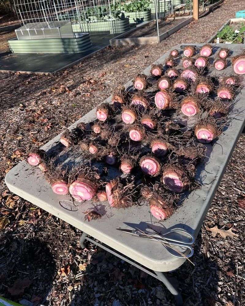 Winter Preparation Creates Spring Success