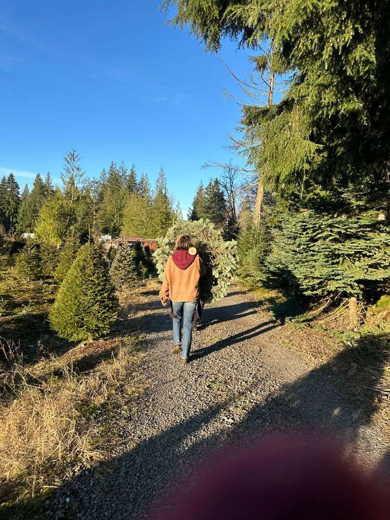 Farmer Brown's Christmas Tree Farm