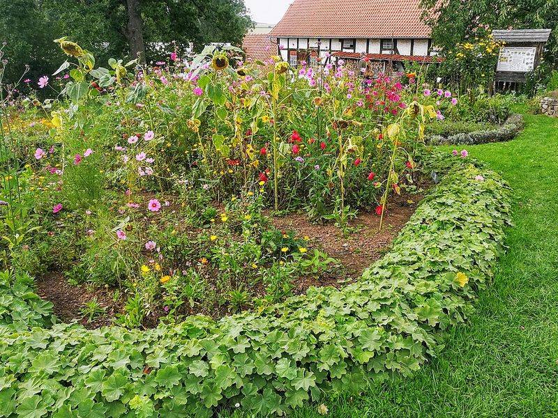 Small-Town Values Align With Cottagecore Simplicity