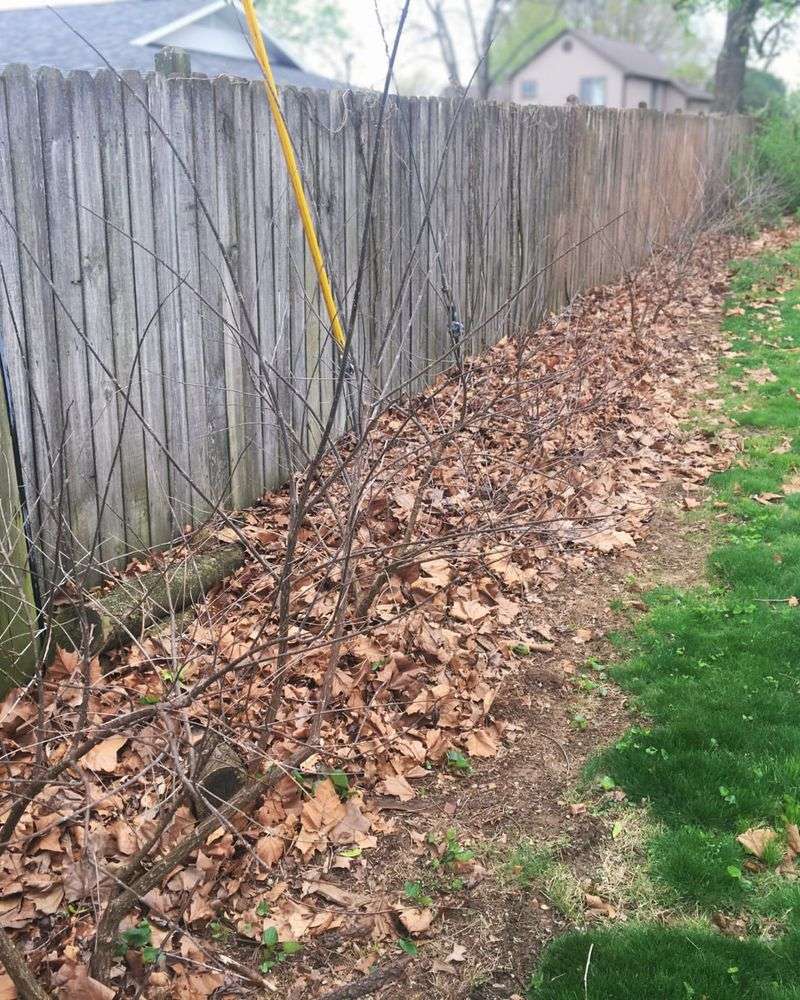 Communication And Compromise Prevent Most Conflicts