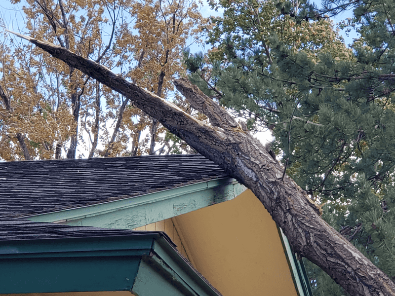 Written Warnings Create Important Legal Documentation