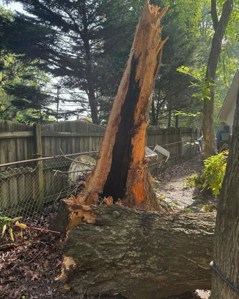 Documentation Becomes Your Most Powerful Tool