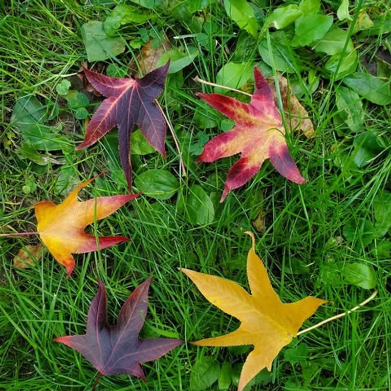 Mediation Can Resolve Disputes Without Going To Court