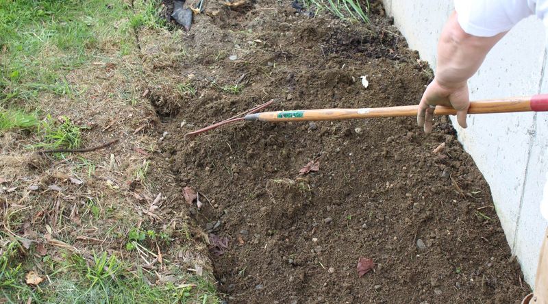 Disturbed Soil From Spring Gardening Activities