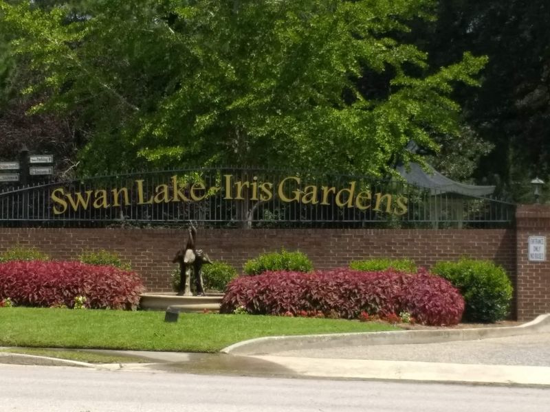 Swan Lake Iris Gardens - Sumter's Surprising Rose Collection