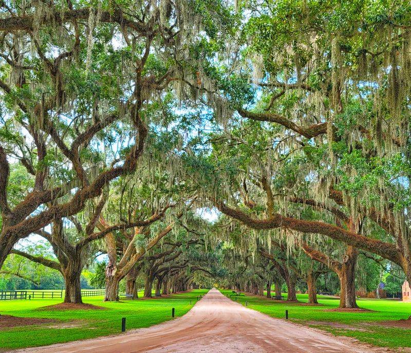 Boone Hall Plantation