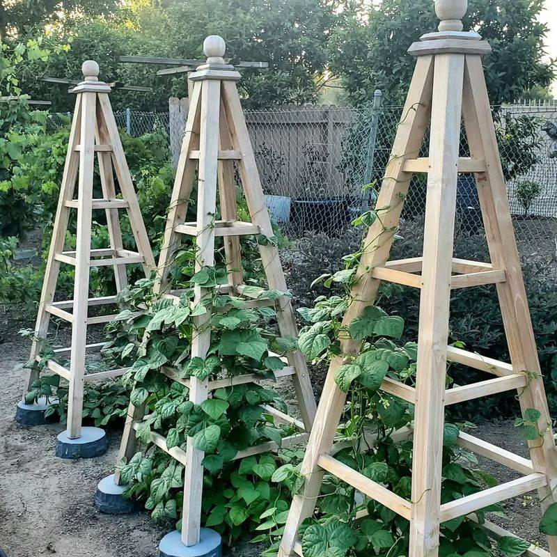 Repurposed Ladder Trellis For Mixed Plantings