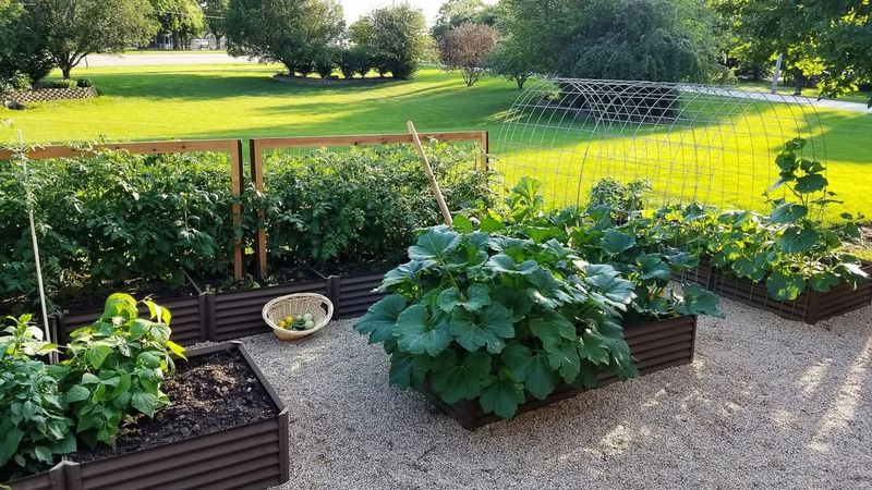 Victory Gardens and Vegetable Patches